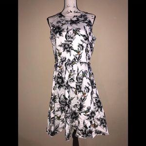 Flower and hummingbird dress